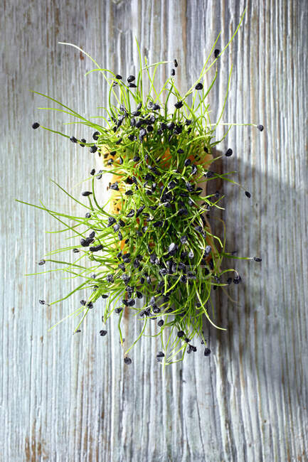 Tomilho verde fresco em um pote de madeira em um fundo de uma parede branca — Fotografia de Stock