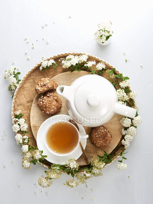 Teacup, teapot, cookies and white flowers — Stock Photo