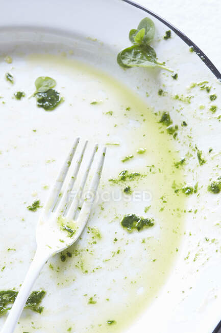 An empty plate with herbs and oil — Stock Photo