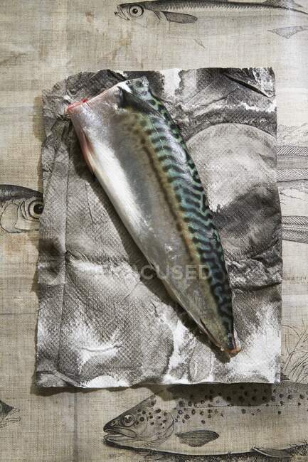 Eine rohe Makrele auf Papier — Stockfoto