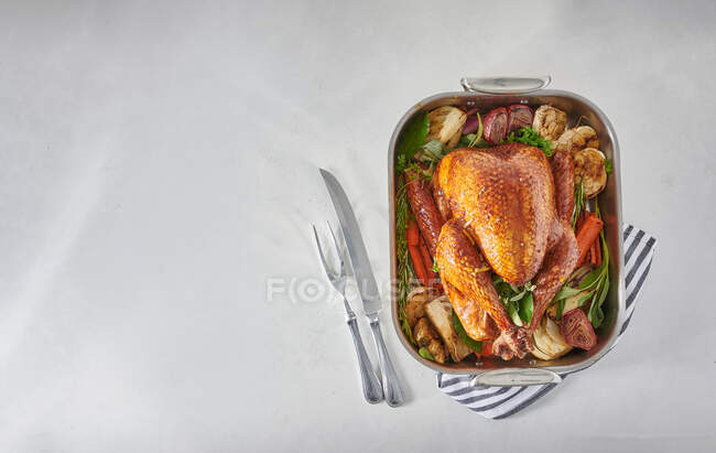 Roast turkey close-up view — Stock Photo
