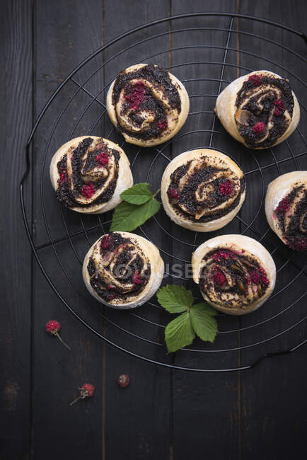 Vegan raspberry and poppy seed snails — Stock Photo
