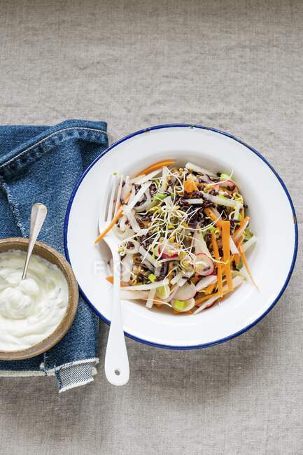 Black rice and carrots salad and yogurt dressing — Stock Photo