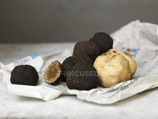 Black and white truffle — Stock Photo