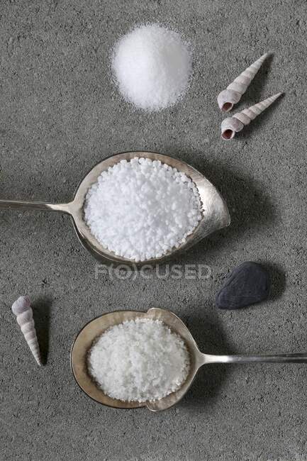 Various types of salt (seen from above) — Stock Photo