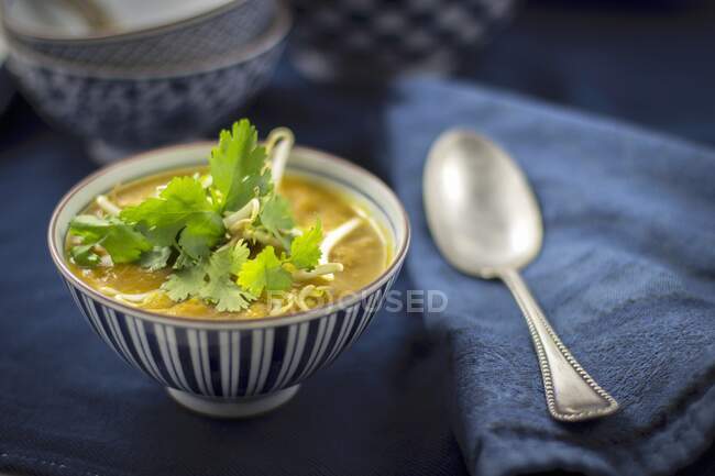 Sopa asiática con brotes de frijol y cilantro - foto de stock