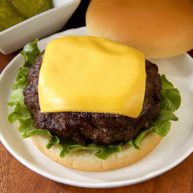 Primo piano colpo di delizioso Cheeseburger con lattuga — Foto stock