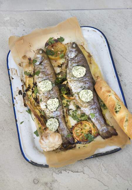 Grilled trout with herb butter — Stock Photo