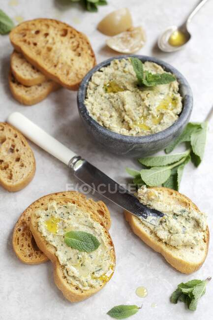 Zitrone und Minze Hummus auf Crostini — Stockfoto
