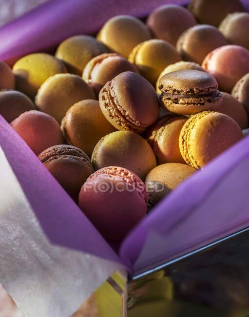 Various macarons in a biscuit tin — Stock Photo