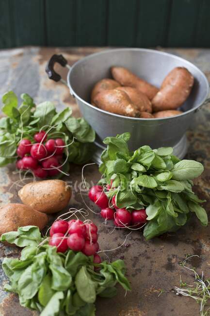 Fresh sweet potatoes and radishes — Stock Photo