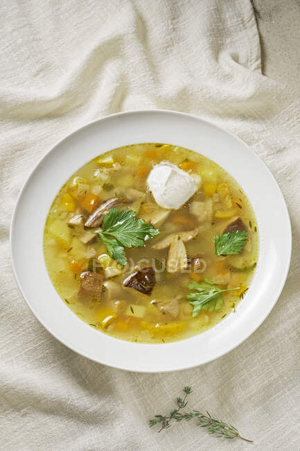 Porcini mushroom soup with sour cream — Stock Photo