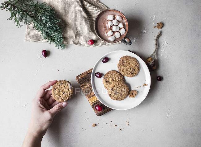Gluten-free biscuits on a plate with a cup of hot chocolate with marshmallows behind it — Stock Photo