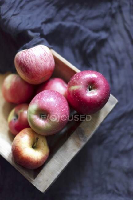 Manzanas rosadas en una caja de madera sobre un tejido gris oscuro - foto de stock