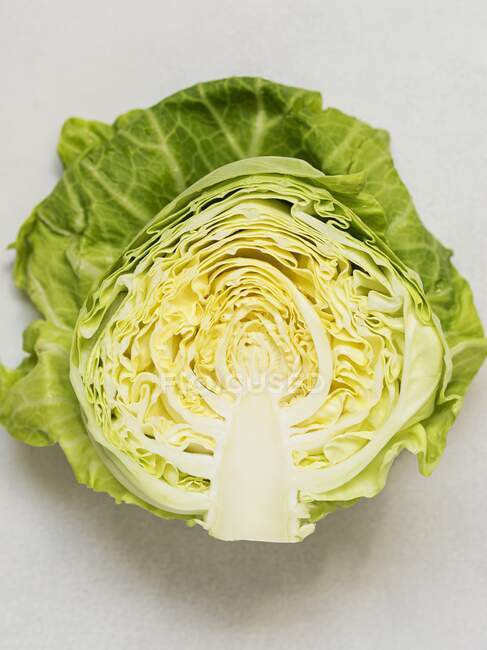 A freshly harvested spring cabbage — Stock Photo