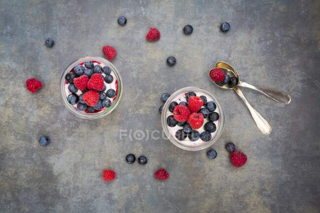 Yogur griego con gelatina de frutas y frambuesas frescas y arándanos - foto de stock