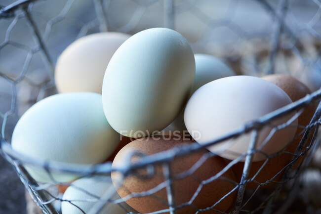 Fresh farm eggs in wire basket, close up shot — Stock Photo
