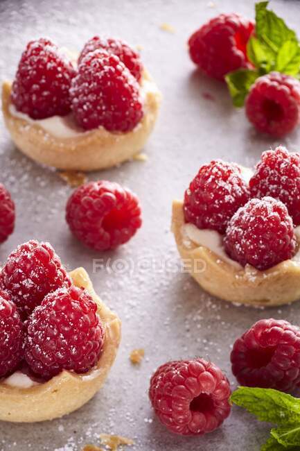 Raspberry tarts with sugar — Stock Photo