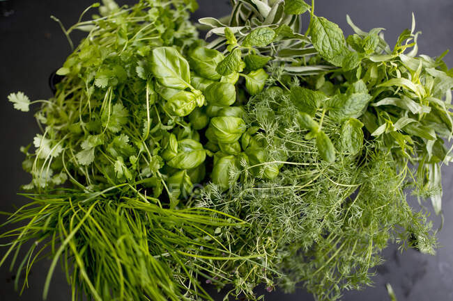 Fresh Herbs close-up view — Stock Photo