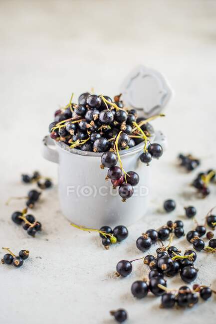 Grosellas negras frescas en ramekin blanco y en la mesa - foto de stock