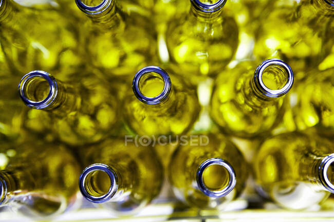 Empty bottles of wine in a bottling factory — Stock Photo