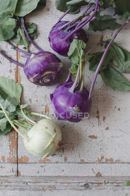 Fresh green and violet kohlrabi bulbs — Stock Photo