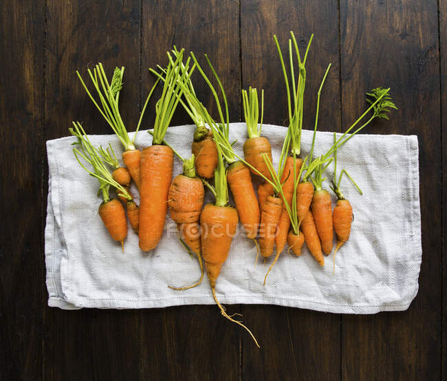 Pequeñas zanahorias de jardín en diferentes formas y tamaños - foto de stock