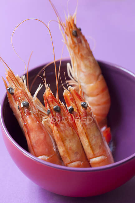 Crevettes dans un bol violet — Photo de stock