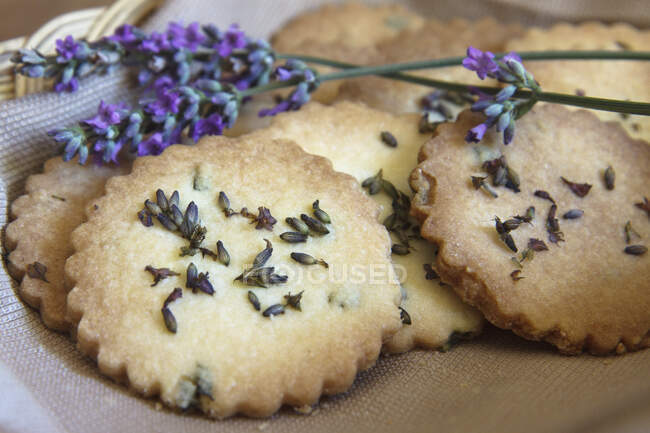 Biscoitos de lavanda usando lavanda inglesa (Lavendula angustifolia) — Fotografia de Stock