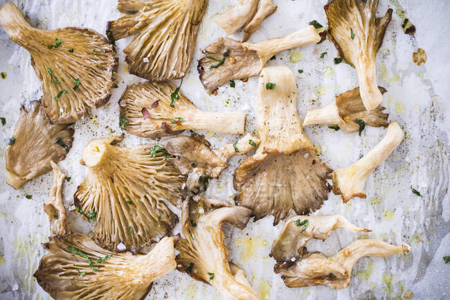 Oven roasted oyster mushrooms with chili, parsley and olive oil — Stock Photo