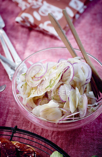 Salada de funcho com cebolas vermelhas — Fotografia de Stock