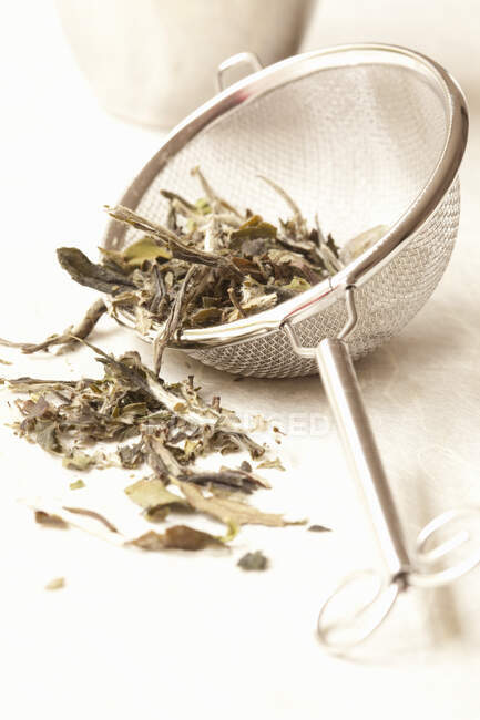 Gros plan de délicieux thé White Pai Mu Tan — Photo de stock