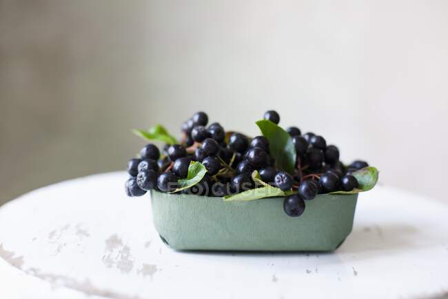 Aronia berries in a cardboard tray — Stock Photo