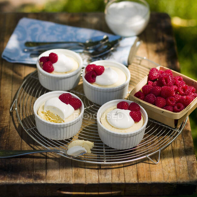 Lemon cream desserts in ramekins with raspberries and whipped cream — Stock Photo