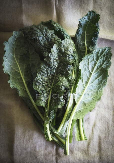 Fresh kale leaves (seen from above) — Stock Photo