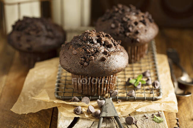 Muffins de chocolate doble vista de cerca - foto de stock