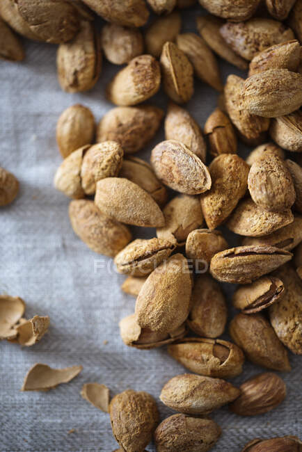 Salted, roasted almonds in shells — Stock Photo