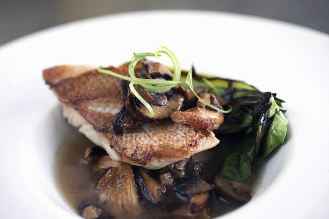 Pan roasted snapper with wild mushroom in miso broth — Stock Photo