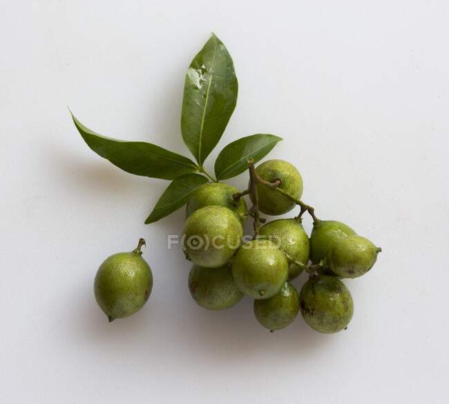 Um aglomerado de Quenepas (também conhecido como Limes Espanhol, genip ou Kenips) em uma superfície branca — Fotografia de Stock