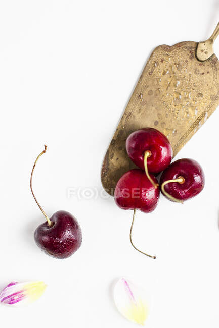 Fresh cherries, closeup shot — Stock Photo