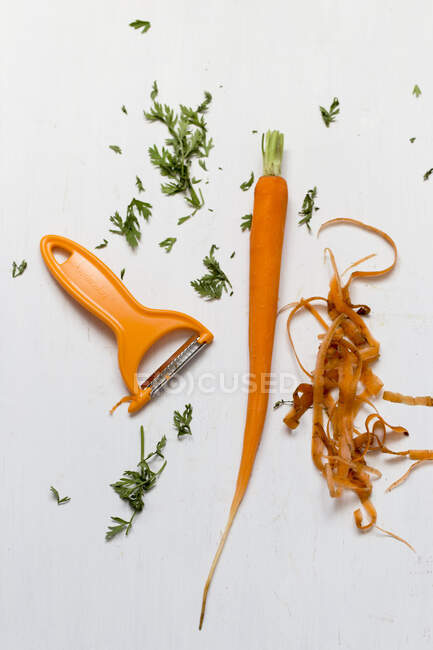 Морква і перець чилі на білому тлі — стокове фото