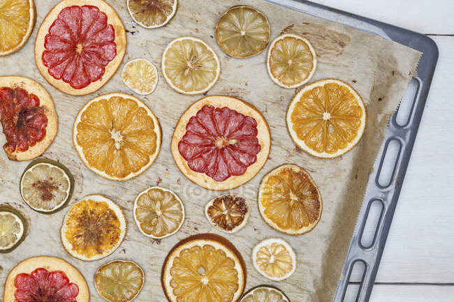 Naranjas secas, limones, limas y rodajas de pomelo sobre estaño para hornear - foto de stock