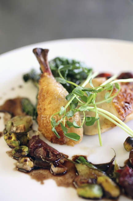 Roasted chicken with leeks, pistachios and cherries in a balsamic reduction — Stock Photo