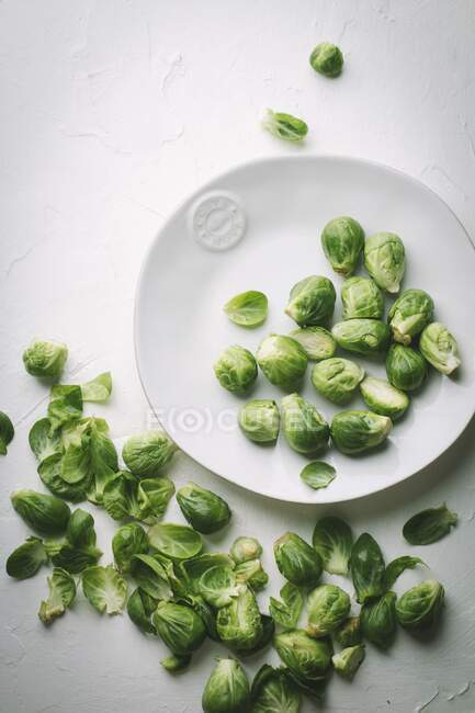 Brussel sprouts on white plate and white background — Stock Photo