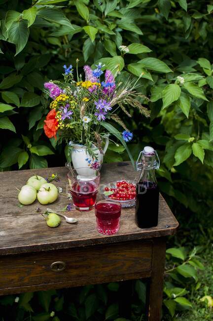 La cuajada de grosella y el césped de grosella en la mesa de verano en el jardín - foto de stock