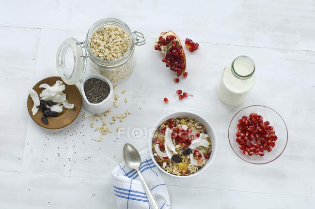 Muesli con latte, avena, cereali, semi di chia, semi di melograno, cocco grattugiato e mirtilli rossi — Foto stock