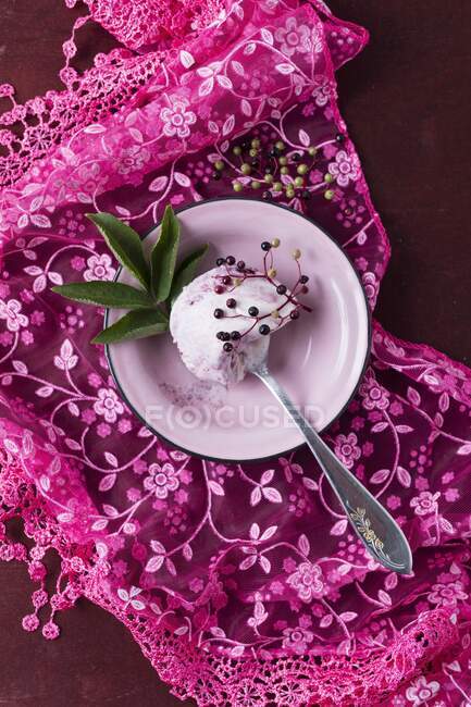 Elderberry ice cream and fresh elderberries — Stock Photo