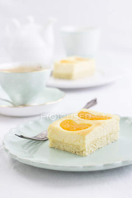 Bandeja de pastel de queso jugosa mandarina hornear - foto de stock