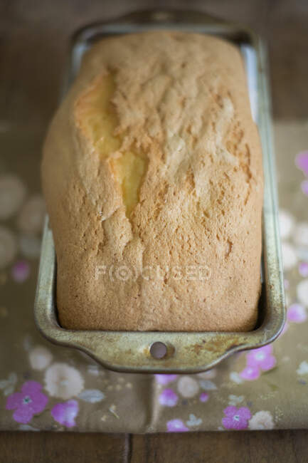 Pound cake in a loaf tin — Stock Photo