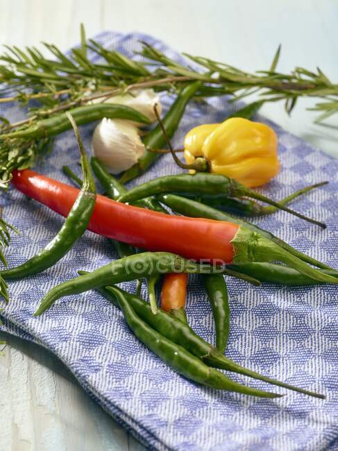 Ingredients for spicy oil — Stock Photo